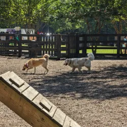 Wills Park - Alpharetta