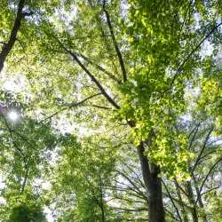 Wills Park - Alpharetta