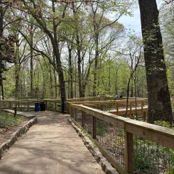 Bear Hollow Zoo - Athens