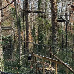 Bear Hollow Zoo - Athens
