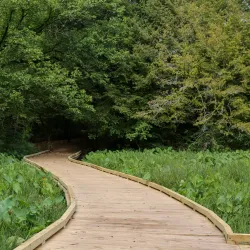 State Botanical Garden of Georgia - Athens