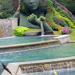 Atlanta Botanical Garden - Atlanta