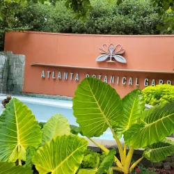 Atlanta Botanical Garden - Atlanta