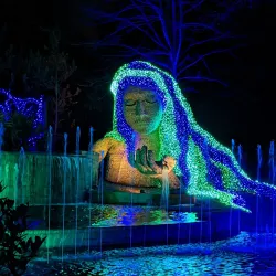 Atlanta Botanical Garden - Atlanta