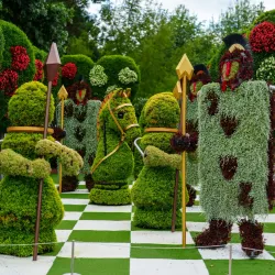 Atlanta Botanical Garden - Atlanta