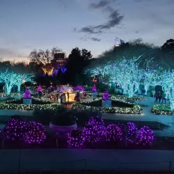 Atlanta Botanical Garden - Atlanta