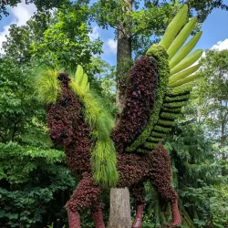 Atlanta Botanical Garden - Atlanta