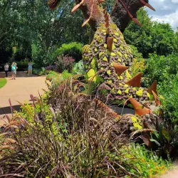 Atlanta Botanical Garden - Atlanta