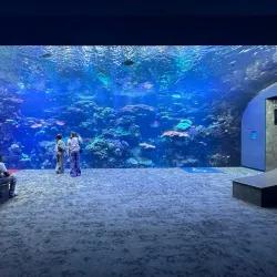 Georgia Aquarium - Atlanta