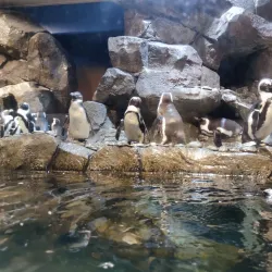 Georgia Aquarium - Atlanta