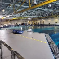 Georgia Aquarium - Atlanta