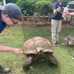 Zoo Atlanta - Atlanta
