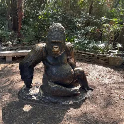 Zoo Atlanta - Atlanta