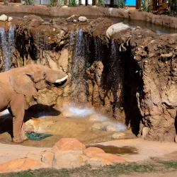 Zoo Atlanta - Atlanta