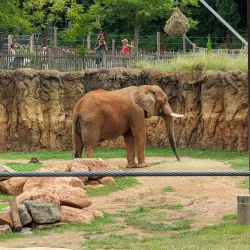 Zoo Atlanta - Atlanta