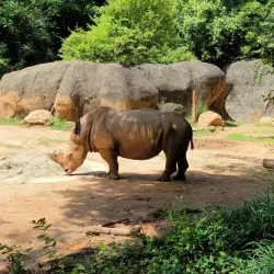 Zoo Atlanta - Atlanta