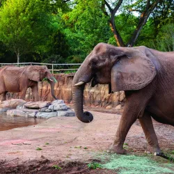 Zoo Atlanta - Atlanta