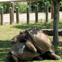 Zoo Atlanta - Atlanta