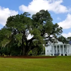 Hampton Plantation State Historic Site - Augusta