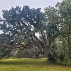 Hampton Plantation State Historic Site - Augusta