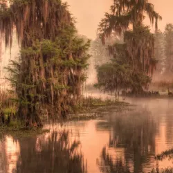 Phinizy Swamp Nature Park - Augusta