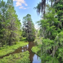 Phinizy Swamp Nature Park - Augusta