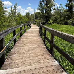 Phinizy Swamp Nature Park - Augusta