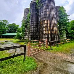 Phinizy Swamp Nature Park - Augusta