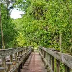 Phinizy Swamp Nature Park - Augusta