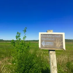 Phinizy Swamp Nature Park - Augusta