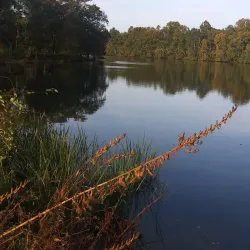 Bainbridge Riverwalk - Bainbridge