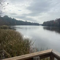 Bainbridge Riverwalk - Bainbridge