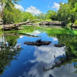 Flint RiverQuarium - Bainbridge