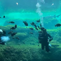 Flint RiverQuarium - Bainbridge