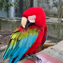 Flint RiverQuarium - Bainbridge