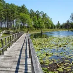 Lake Seminole State Park - Bainbridge