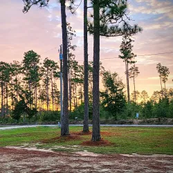 Lake Seminole State Park - Bainbridge