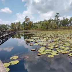 Lake Seminole State Park - Bainbridge