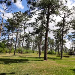 Lake Seminole State Park - Bainbridge