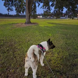 Golden Isles Welcome Center - Brunswick