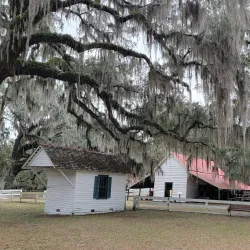 Hofwyl-Broadfield Plantation - Brunswick