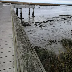 Howard Coffin Park - Brunswick