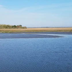 Howard Coffin Park - Brunswick