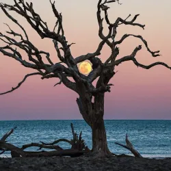 Jekyll Island - Brunswick