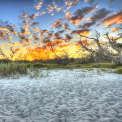 Jekyll Island - Brunswick