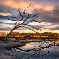 Jekyll Island - Brunswick