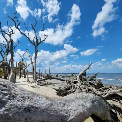 Jekyll Island - Brunswick