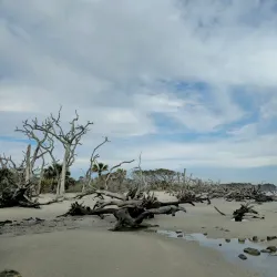 Jekyll Island - Brunswick