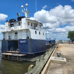 Mary Ross Park Marina - Brunswick