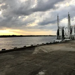 Mary Ross Waterfront Park - Brunswick